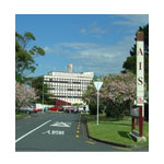 Оклендский институт исследований