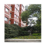 Шанхайский университет