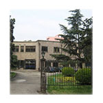 Шанхайский университет финансов и экономики