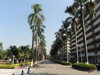 Южно-Китайский педагогический университет